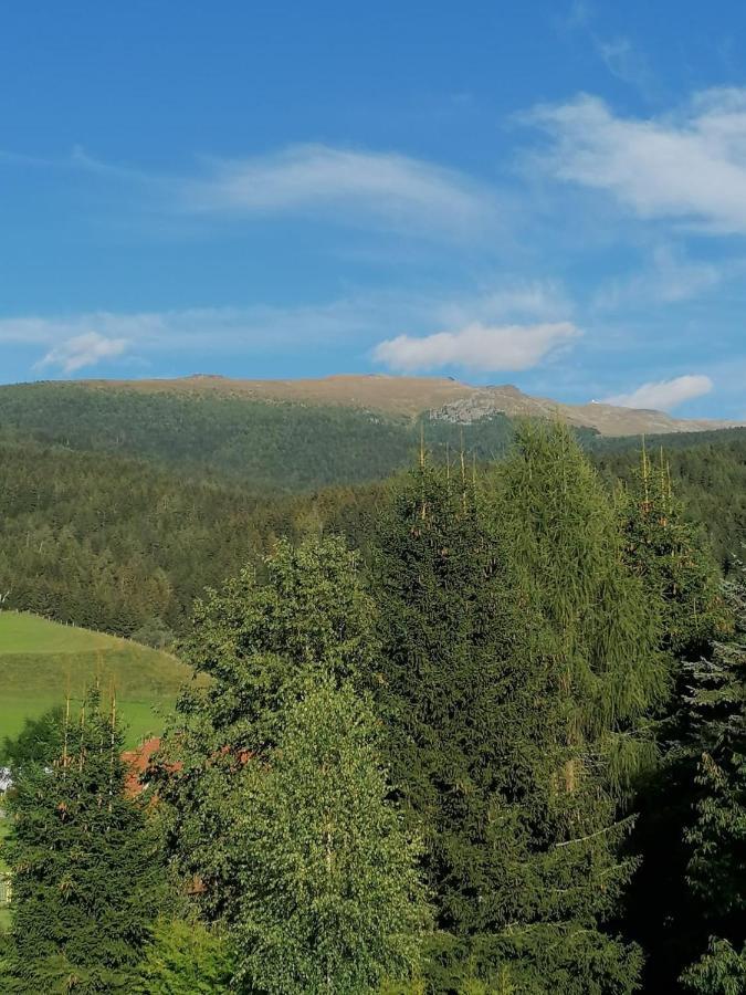 Ferienwohnung Familie Pichler Neumarkt in Steiermark Exterior photo